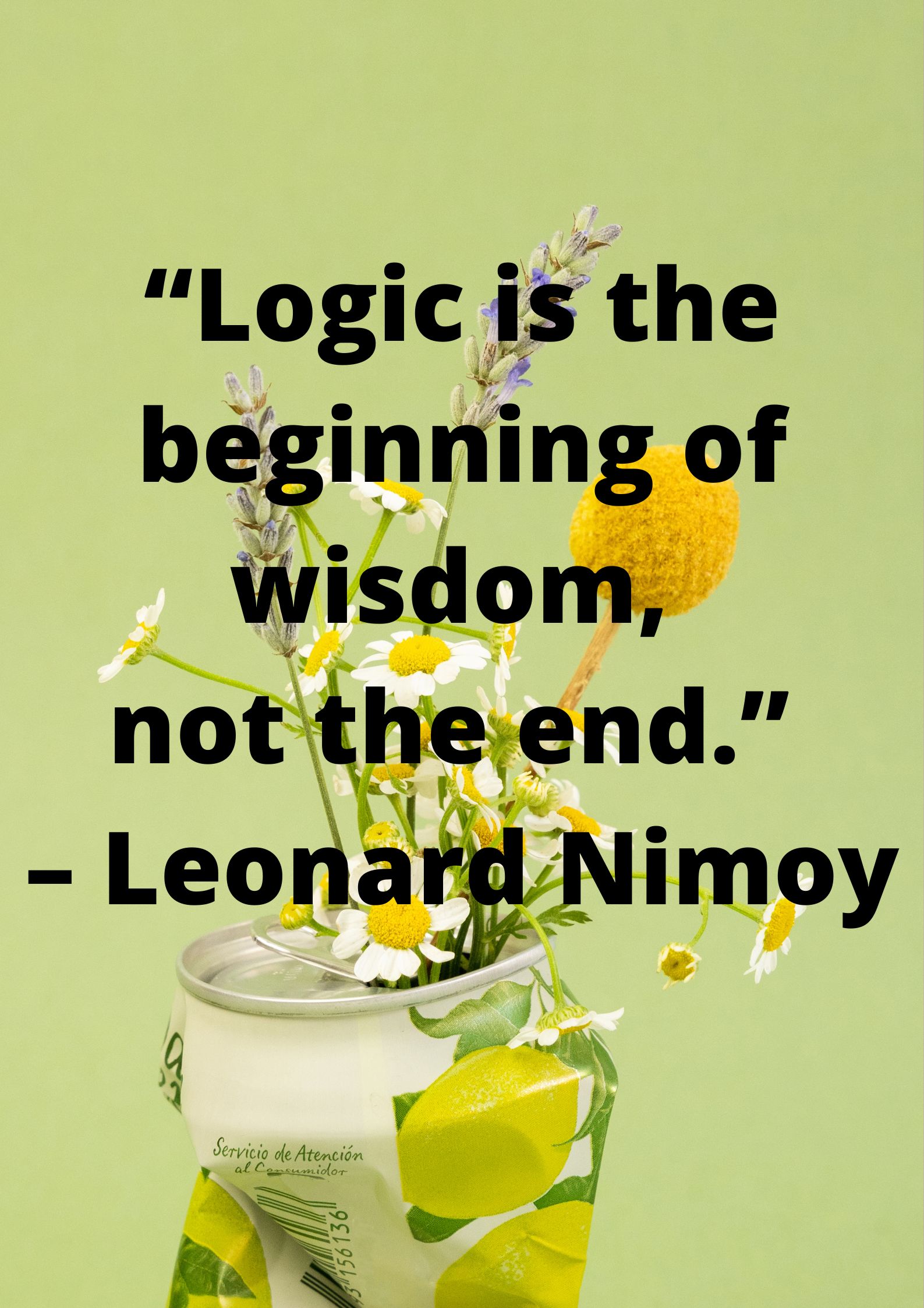 Logical- “Logic is the beginning of wisdom, not the end.” – Leonard Nimoy.