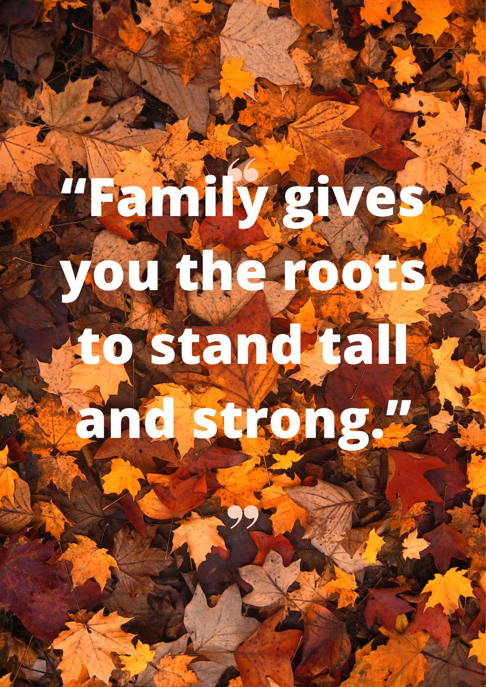 “Family gives you the roots to stand tall and strong.”