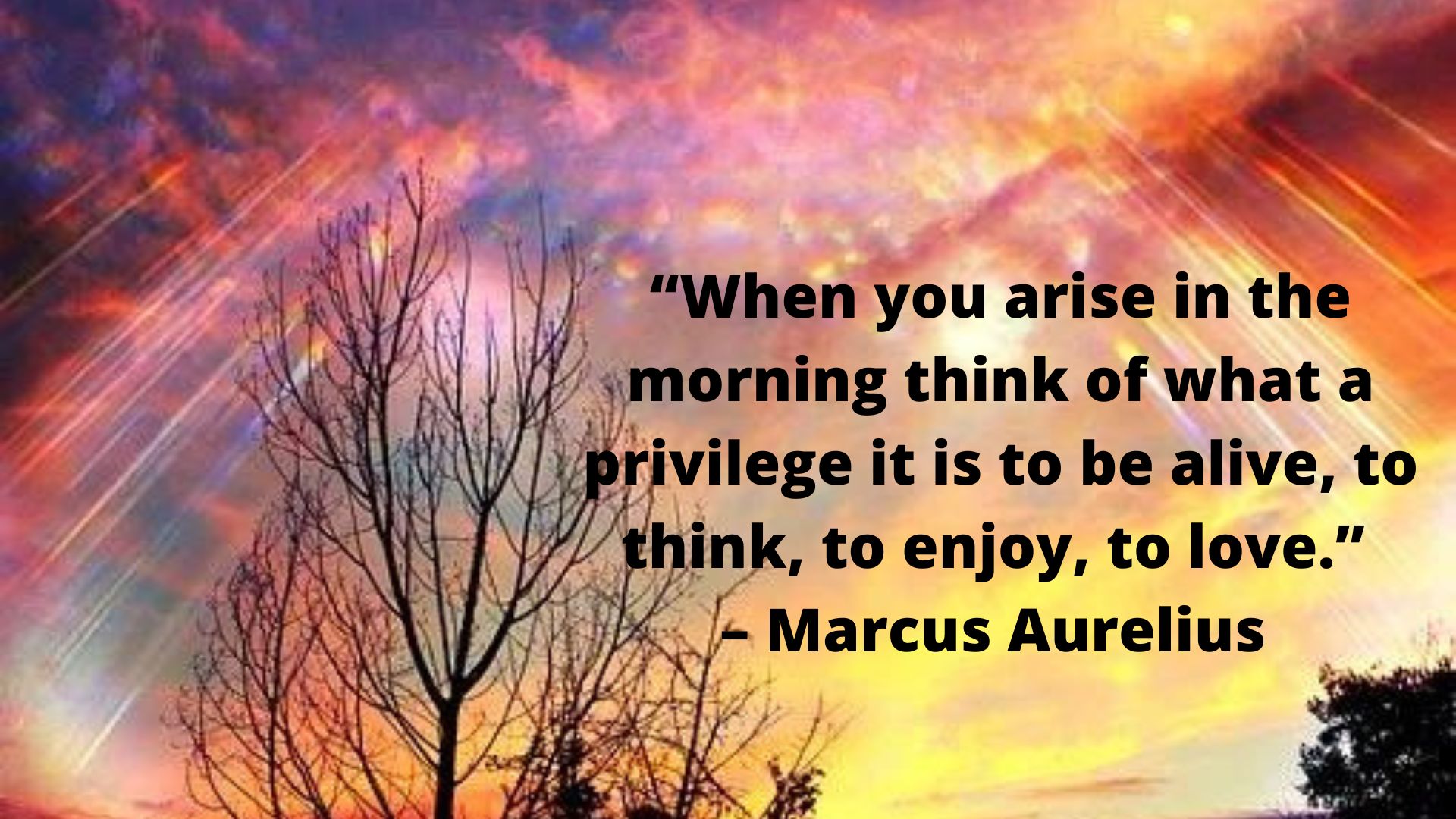 “When you arise in the morning, think of what a privilege it is to be alive, to think, to enjoy, to love.” — Marcus Aurelius.