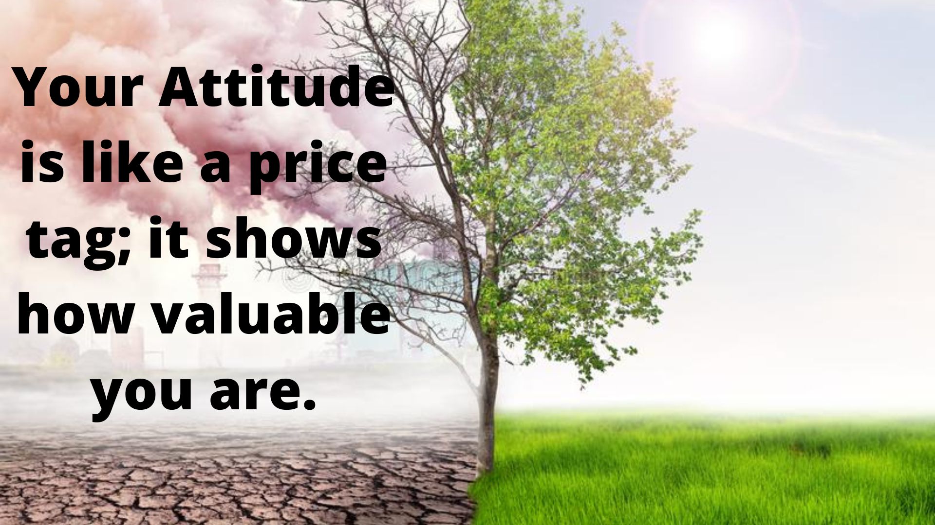 Your attitude is like a price tag, it shows how valuable you are.