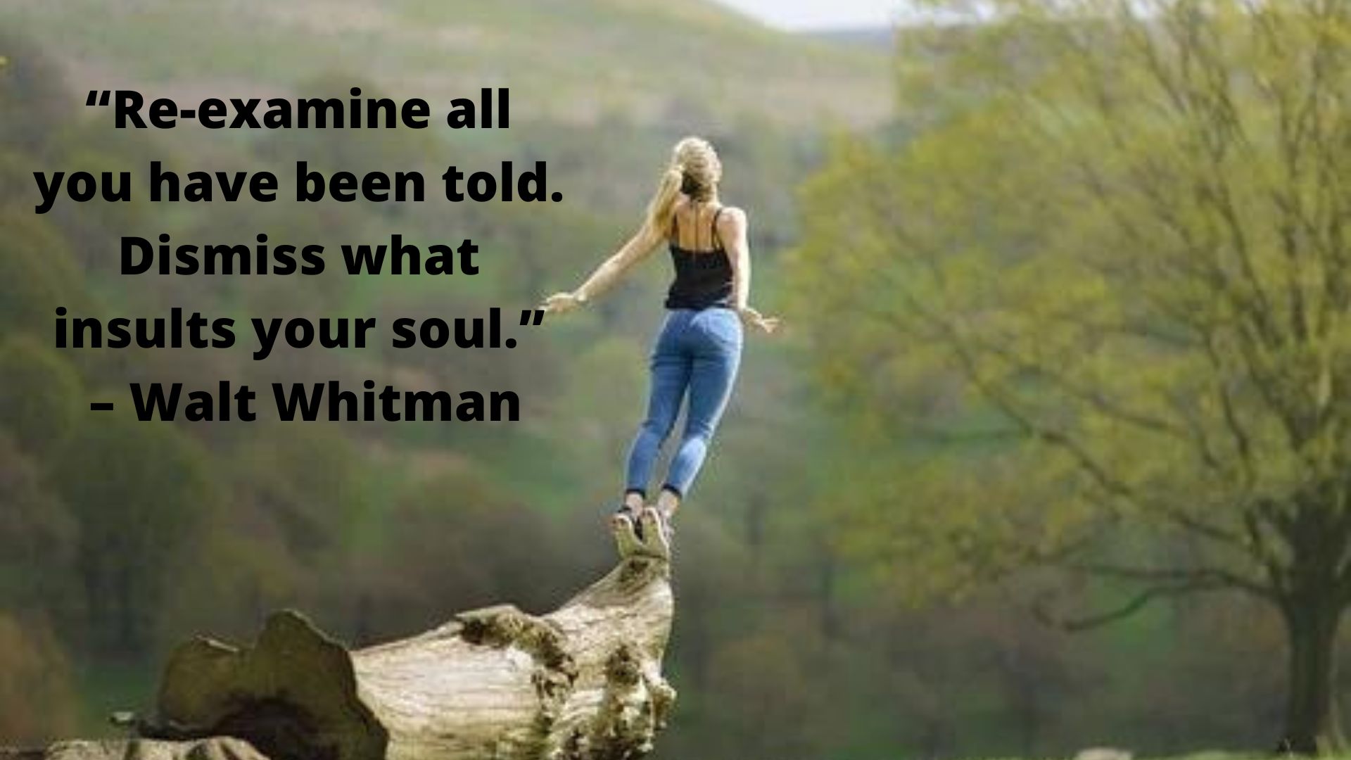 “Re-examine all you have been told. Dismiss what insults your soul.” – Walt Whitman.