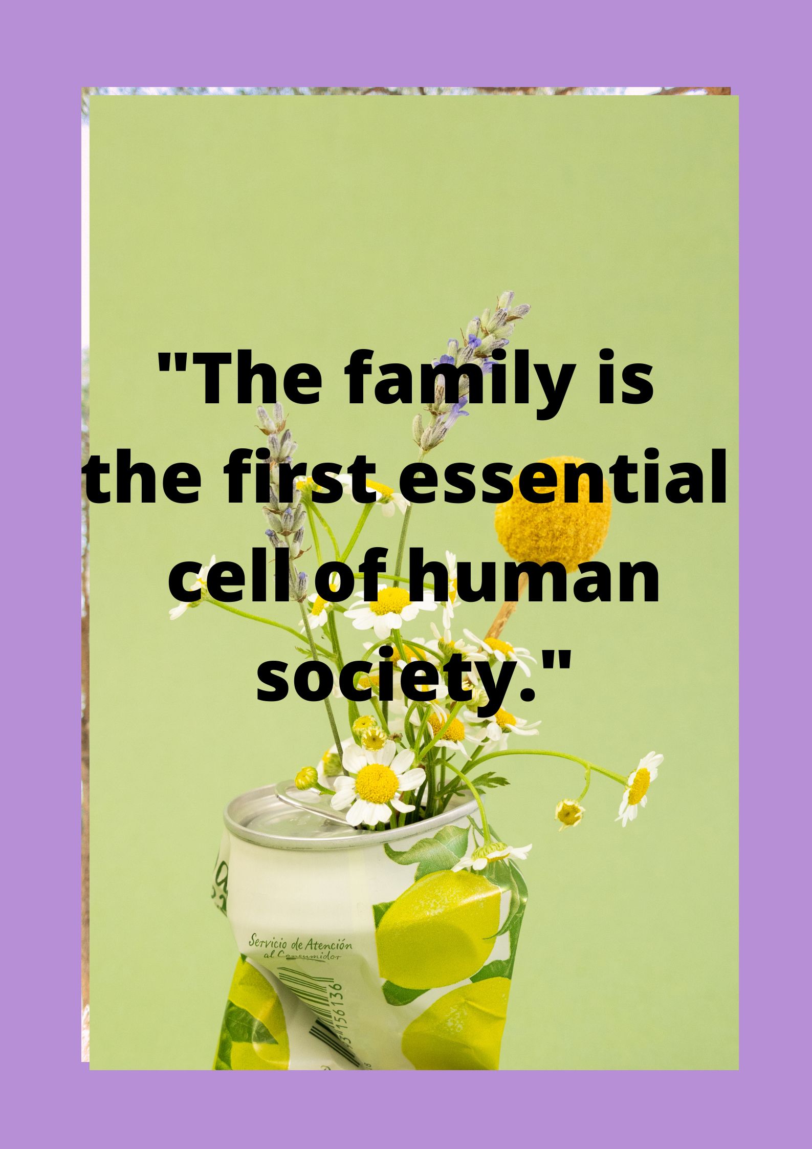 "The family is the first essential cell of human society."