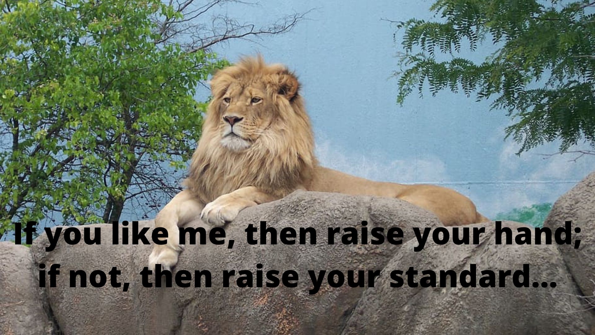 Attitude-If you like me, then raise your hand; if not, then raise your standard.