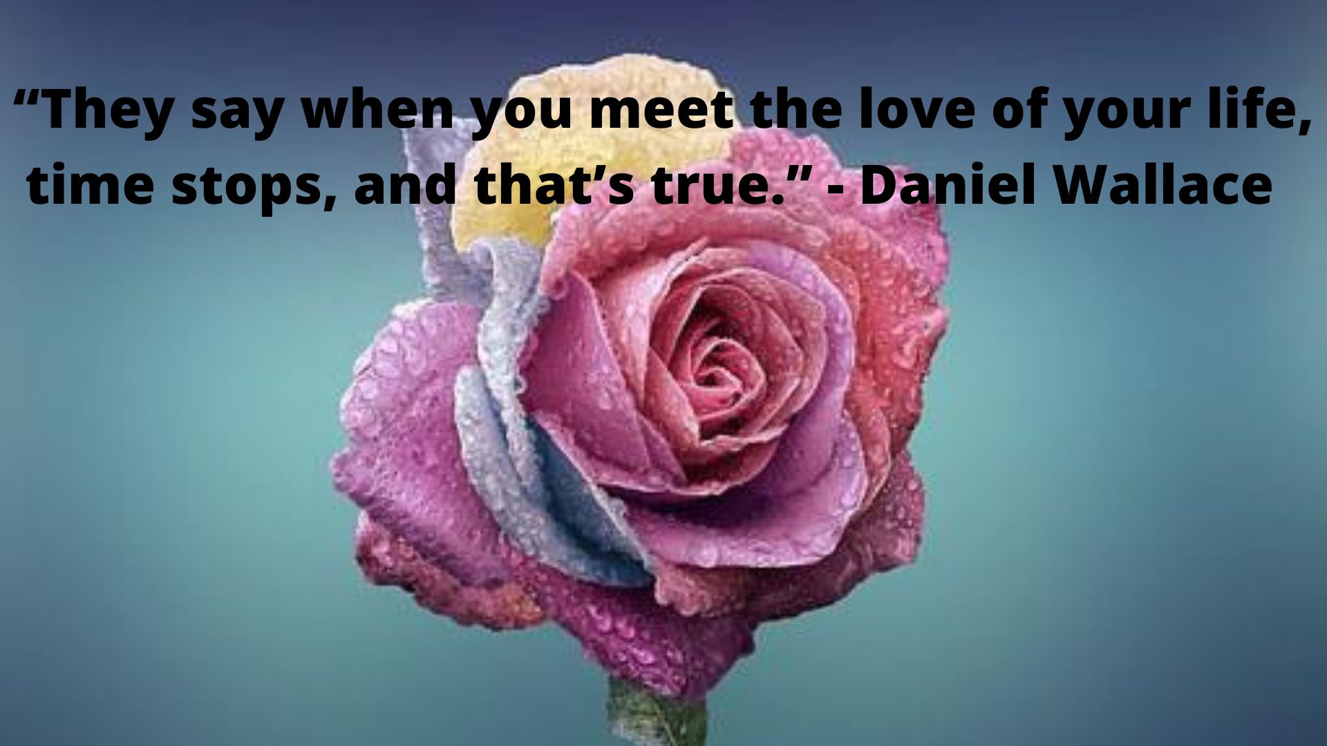 “They say when you meet the love of your life, time stops, and that’s true.” - Daniel Wallace.