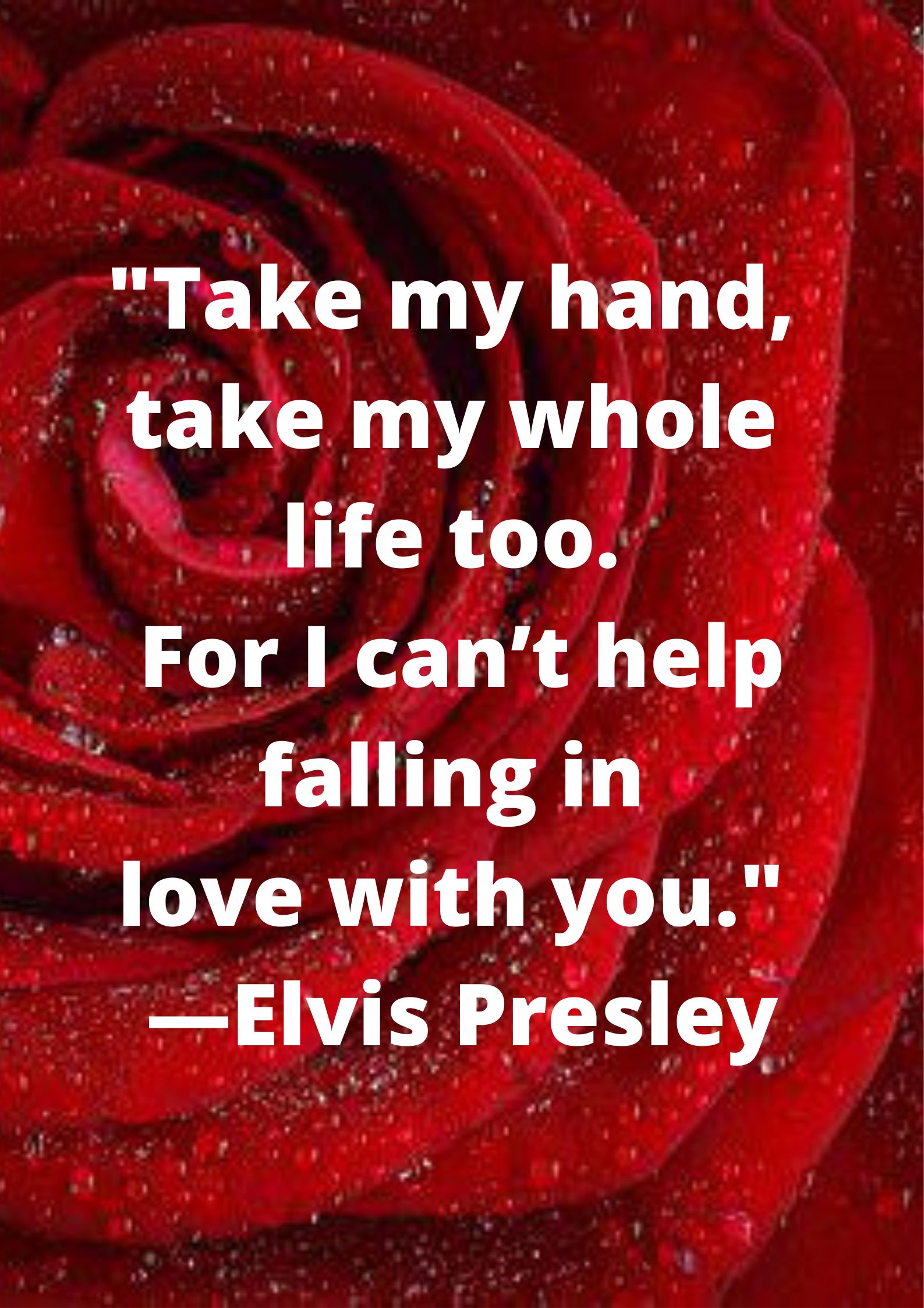 "Take my hand, take my whole life too. For I can’t help falling in love with you." —Elvis Presley.