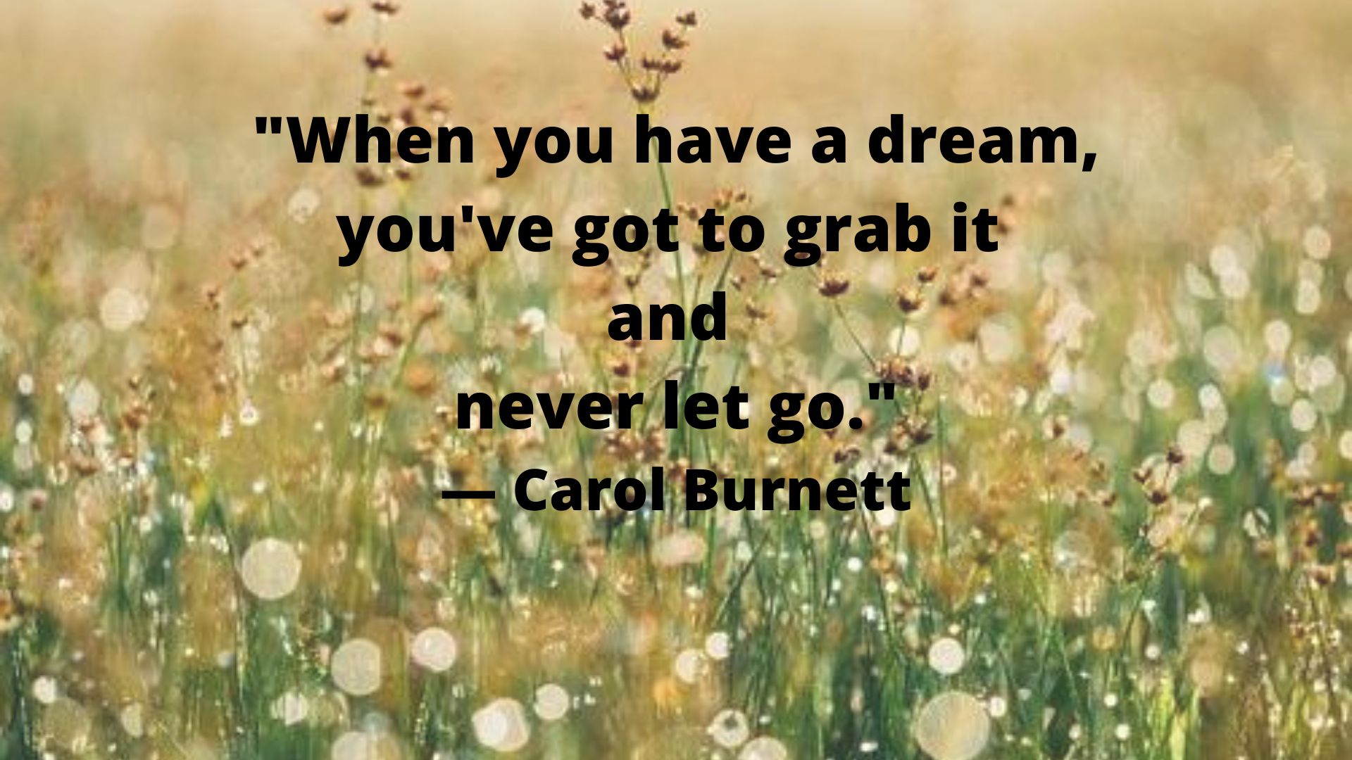 "When you have a dream, you've got to grab it and never let go."— Carol Burnett.