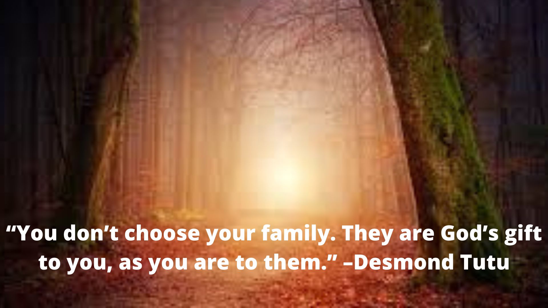 “You don’t choose your family. They are God’s gift to you, as you are to them.” –Desmond Tutu