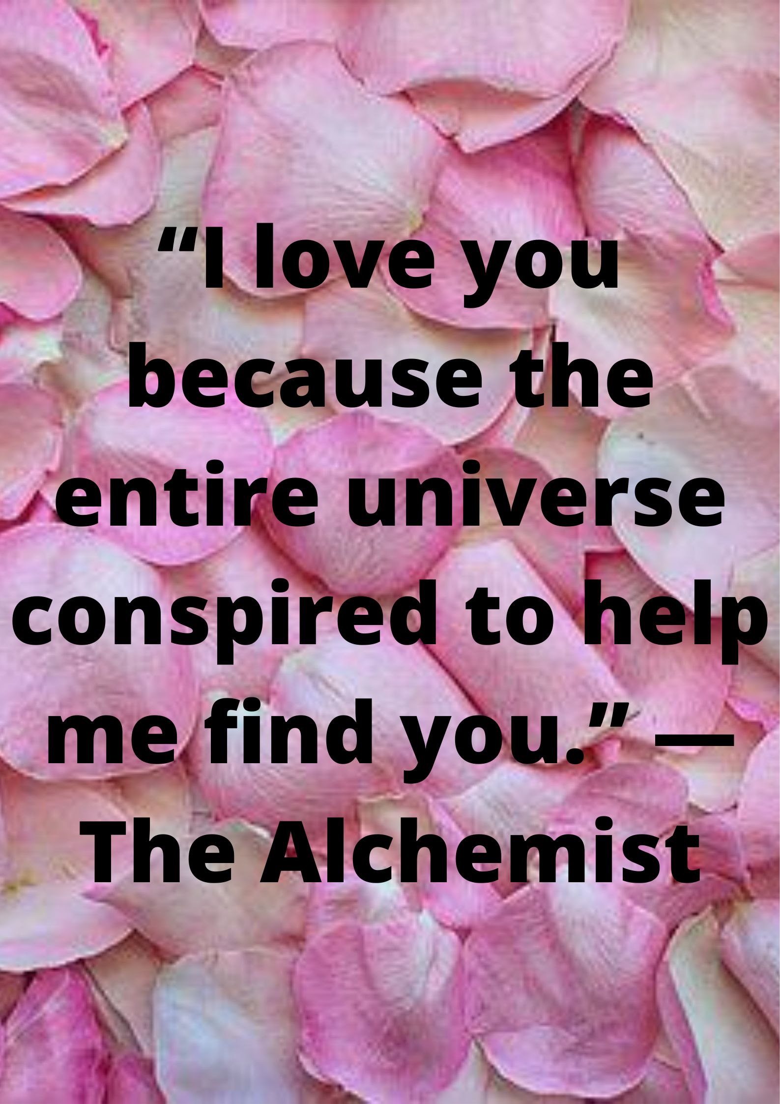 “I love you because the entire universe conspired to help me find you.” — The Alchemist.