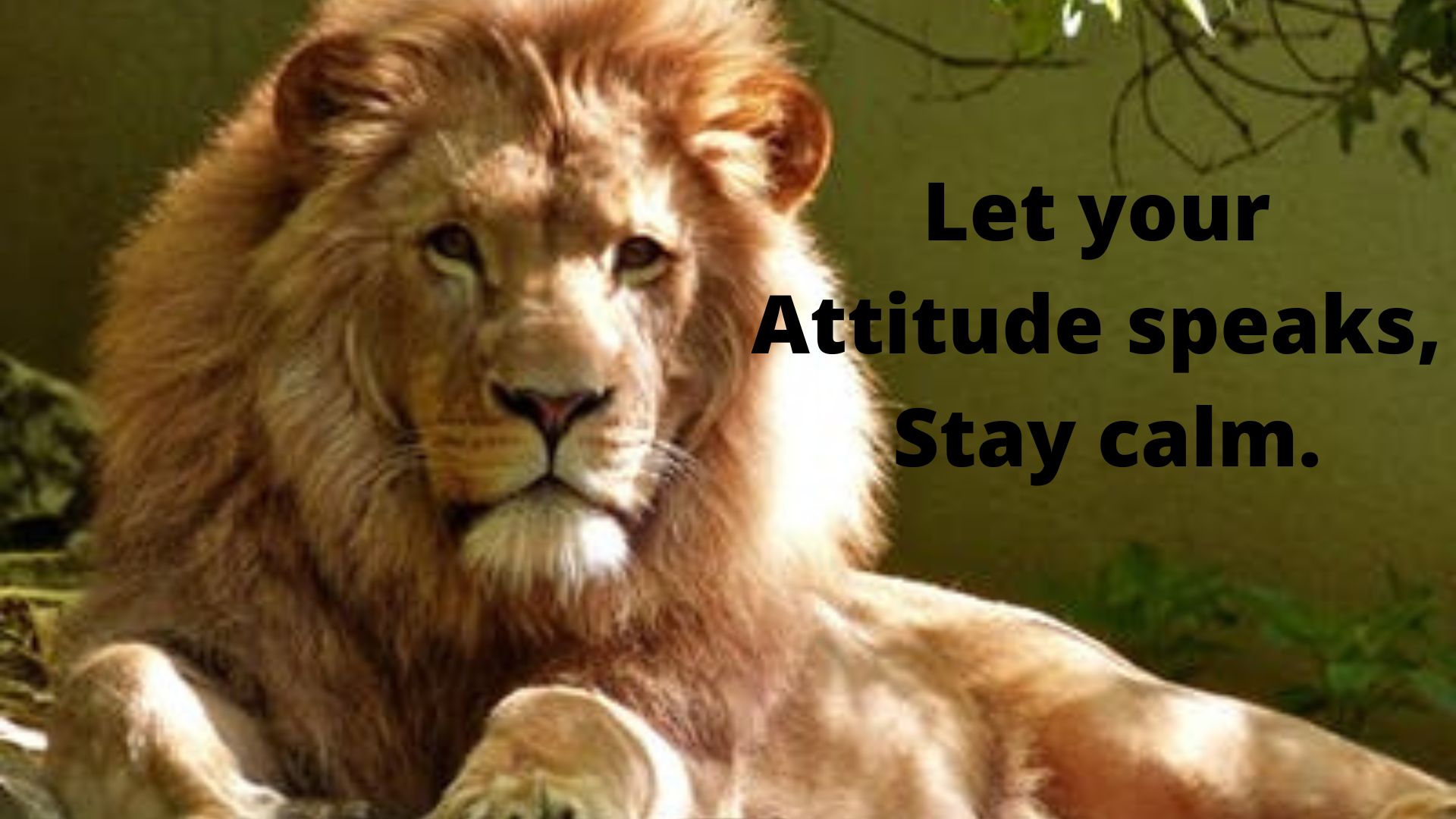 Let  your attitude speaks, Stay calm.