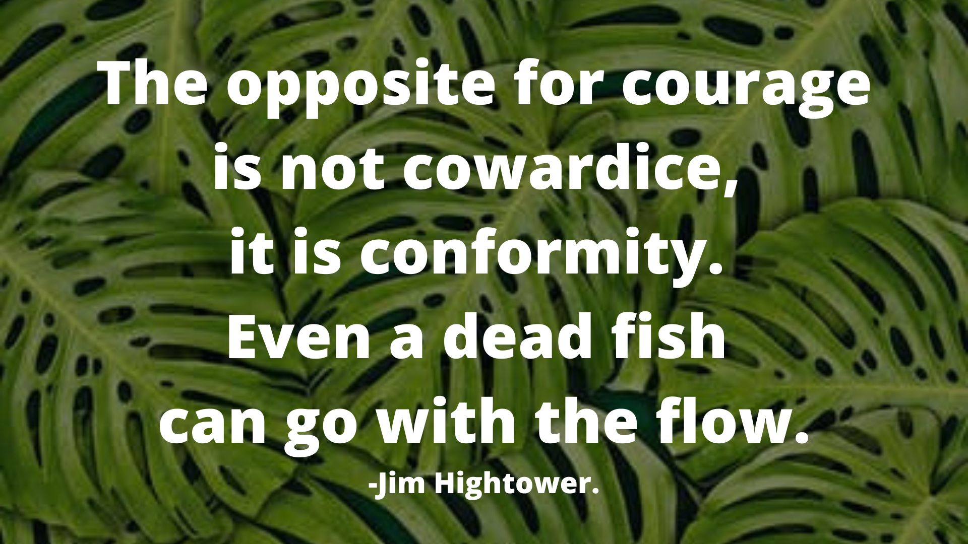 The opposite for courage is not cowardice, it is conformity. Even a dead fish can go with the flow.-Jim Hightower.