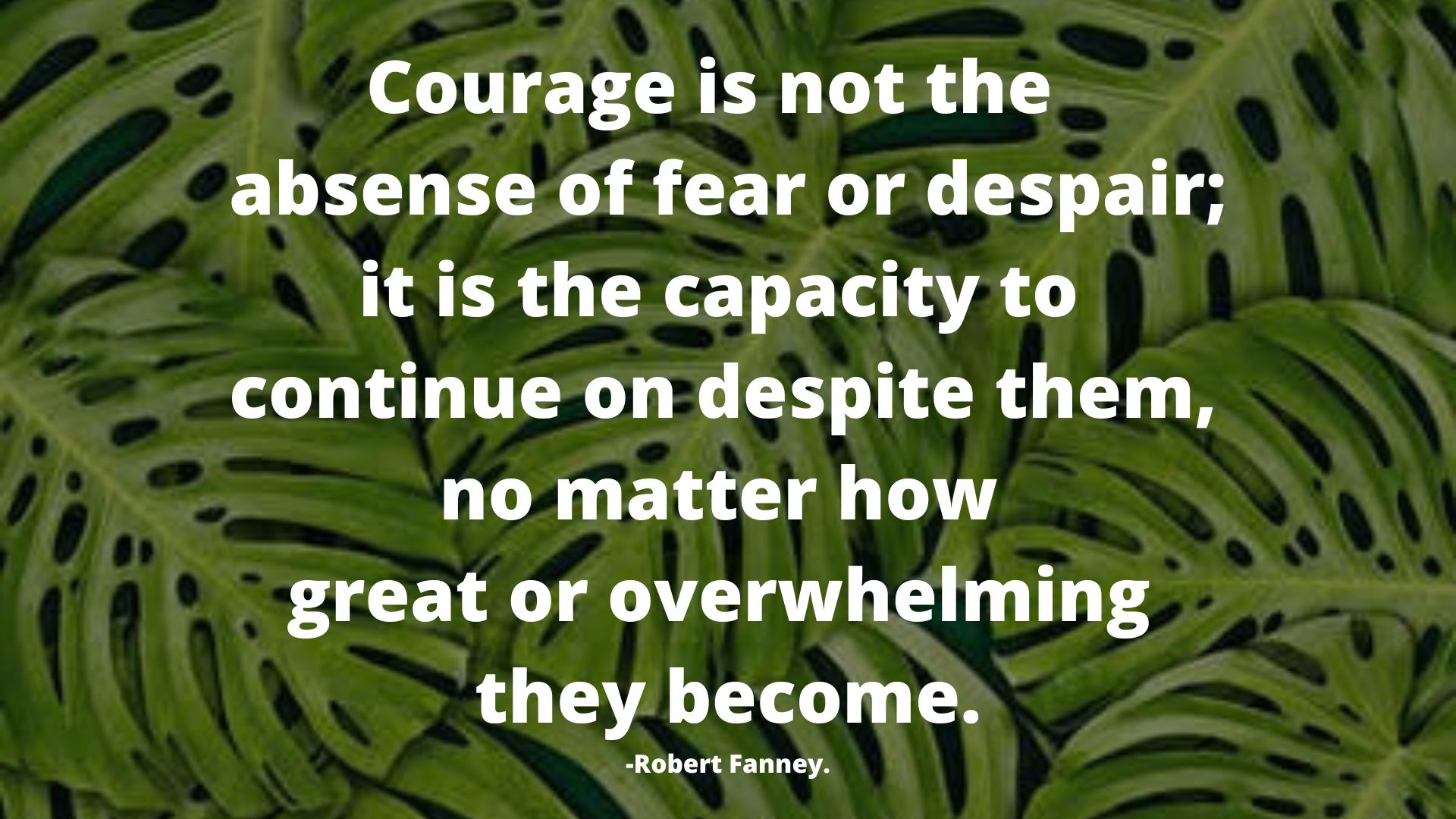 Confidence is not the absence of fear or despair; it is the capacity to continue on despite them, no matter how great or overwhelming they become.-Robert Fanney.