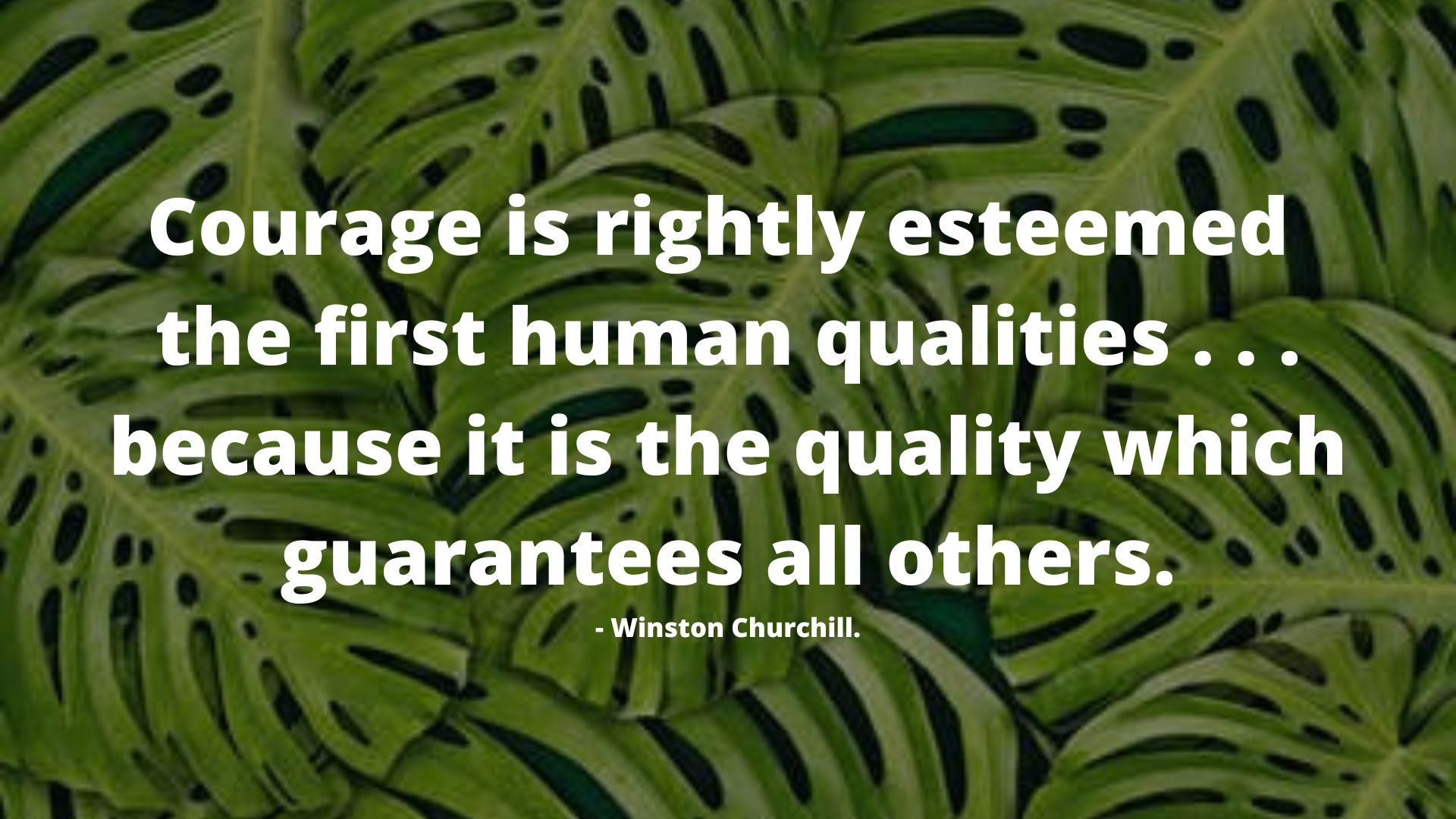 Confidence is rightly esteemed the first of human qualities . . . because it is the quality which guarantees all others.- Winston Churchill.