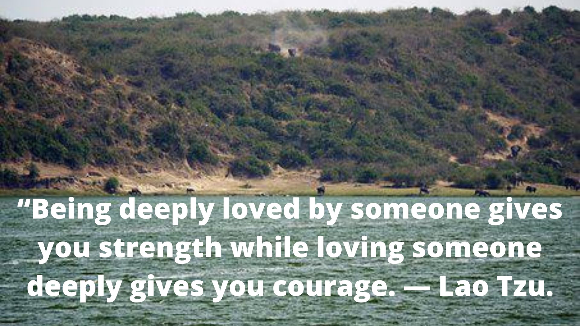 “Being deeply loved by someone gives you strength, while loving someone deeply gives you courage.” – Lao Tzu