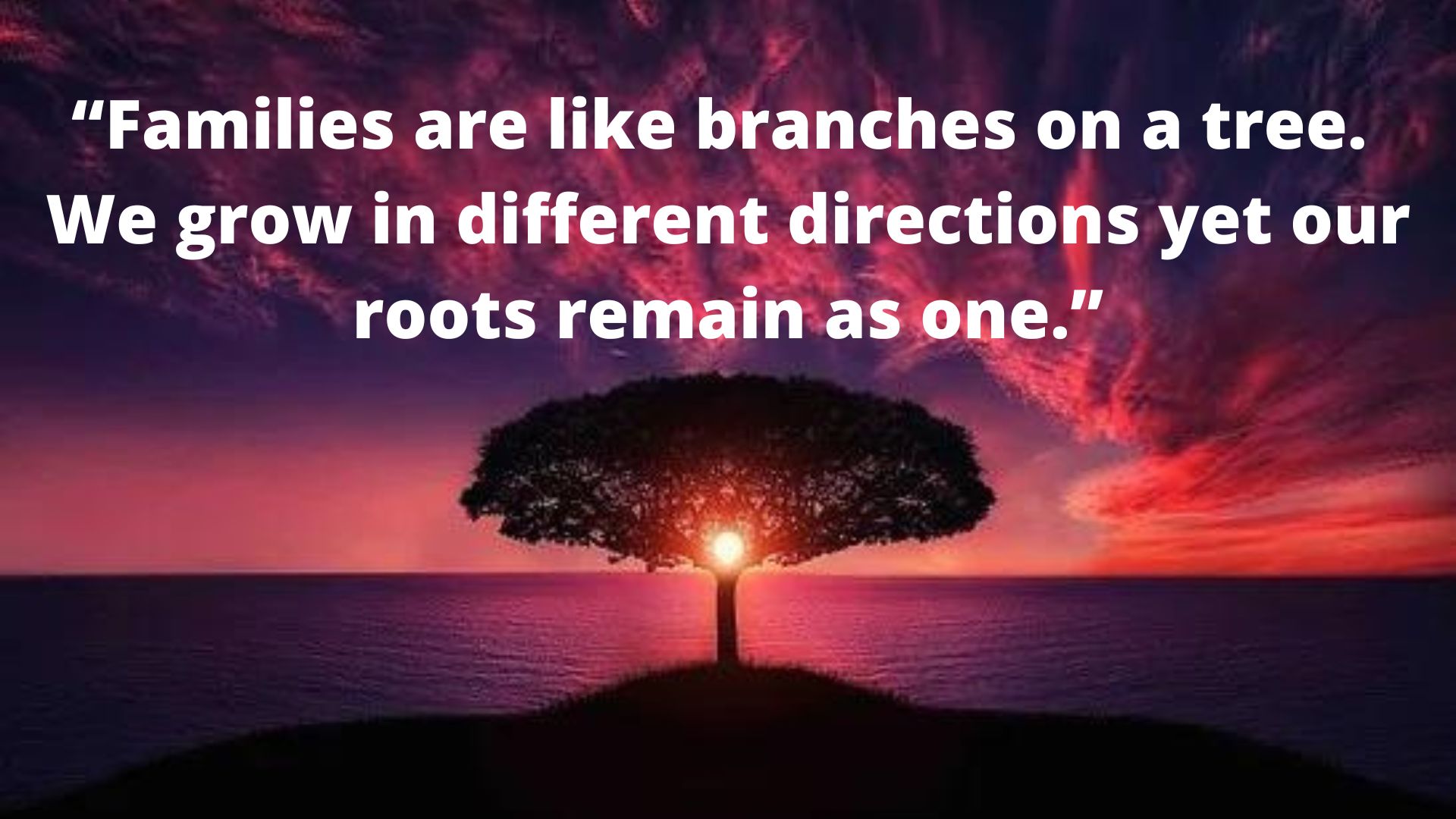 “Families are like branches on a tree. We grow in different directions yet our roots remain as one.”