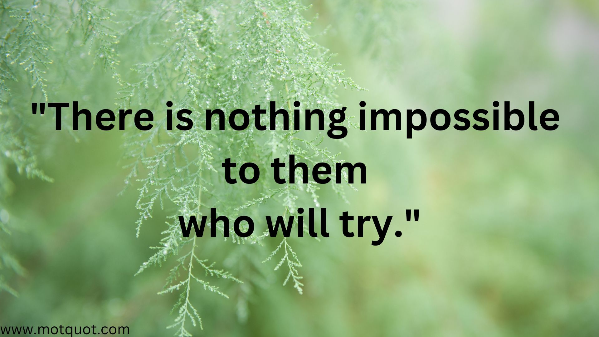 There is nothing impossible to them who will try.