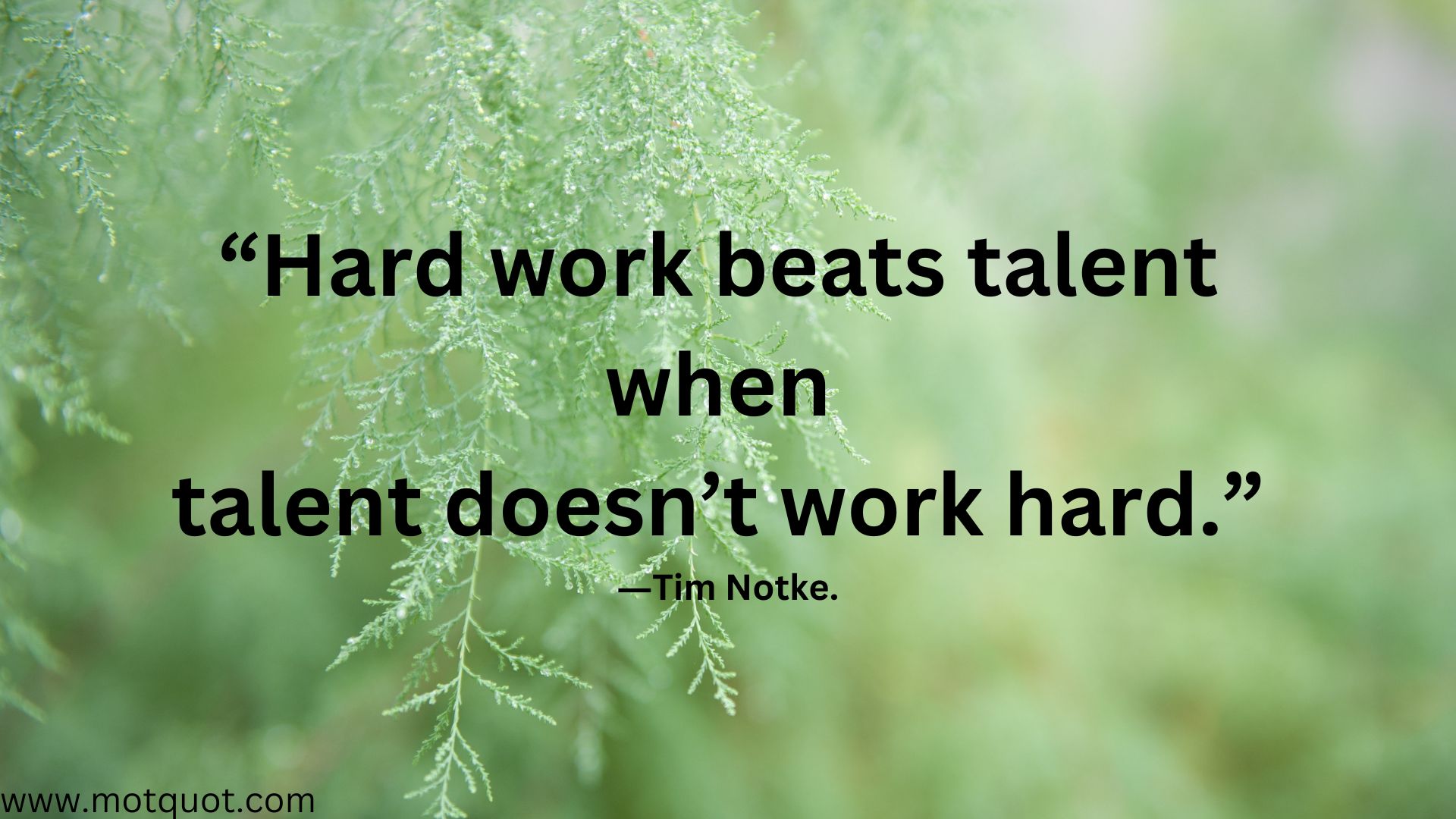 “Hard work beats talent when talent doesn’t work hard.” ―Tim Notke.