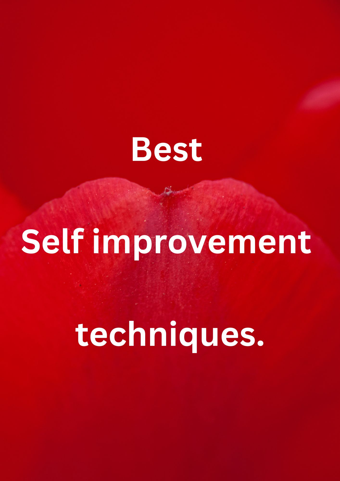 Best self improvement techniques.