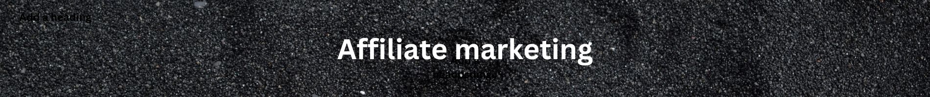 Affiliate marketing.