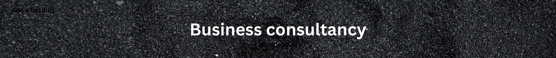 Business consultancy
