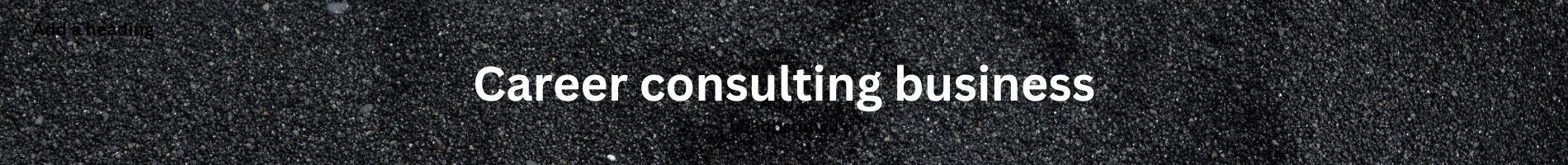 Career consulting business.