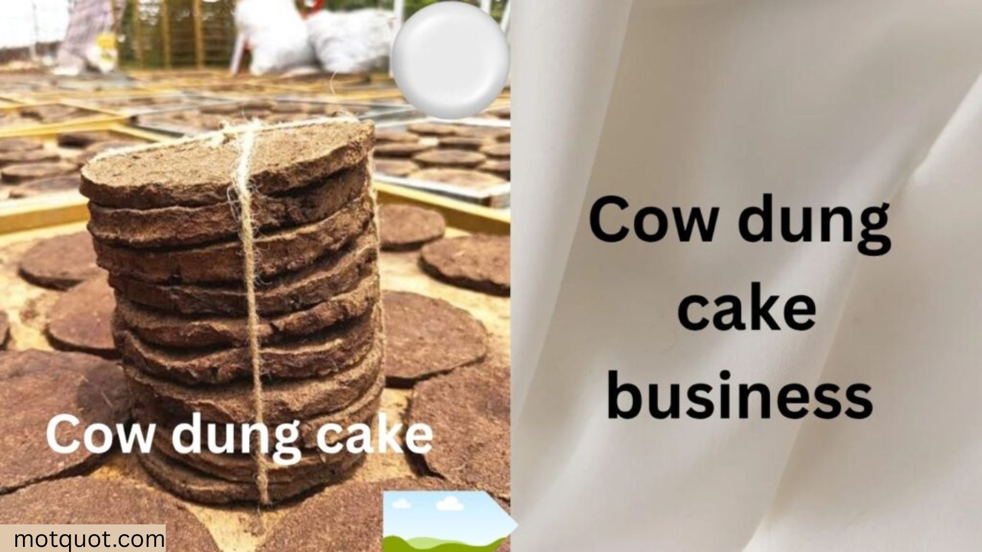 Cow dung cake business, Agro business.