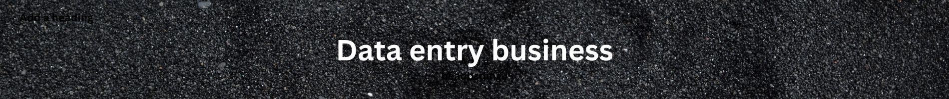 Data entry business.