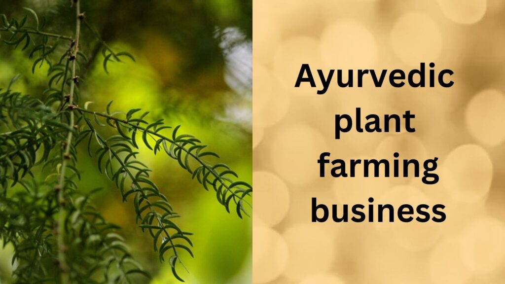 Agro business in ayurvedic medicine farming:. Agro business.