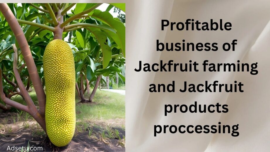 The jackfruit business is emerging as a promising opportunity in the global agribusiness and food processing sector. Jackfruit, known as