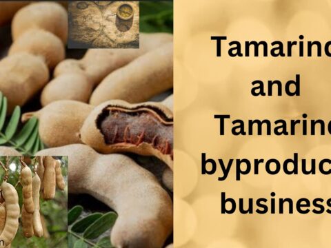Tamarind and Tamarind Byproducts Business.