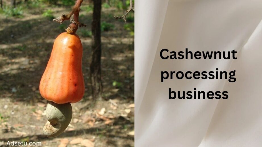 Cashew and products