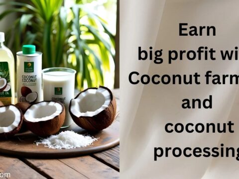 Coconut and Coconut Products Business: A Profitable Natural Industry Coconut and coconut products business.